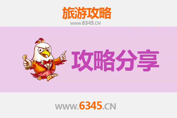 天津河西至湄洲岛旅游攻略：跟团还是自由行？资深博主深度解析